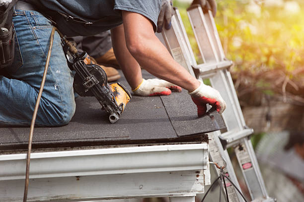 Roof Gutter Cleaning in Prospect Park, NJ